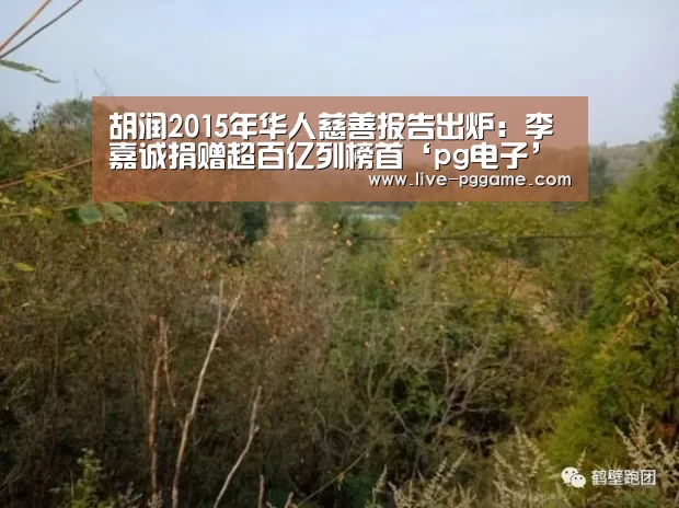 胡润2015年华人慈善报告出炉:李嘉诚捐赠超百亿列榜首‘pg电子’(图4) pg电子试玩