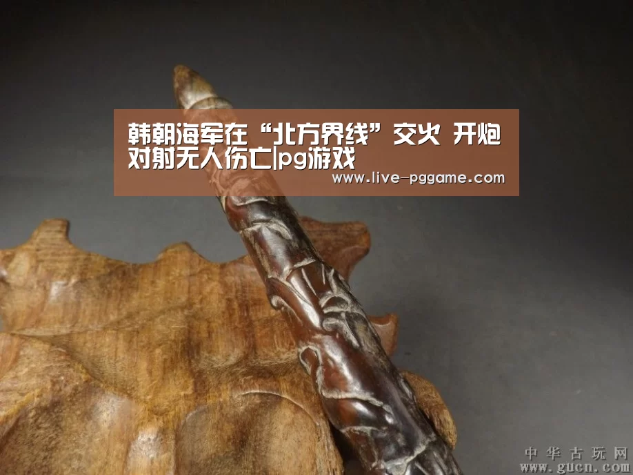 pg电子模拟器