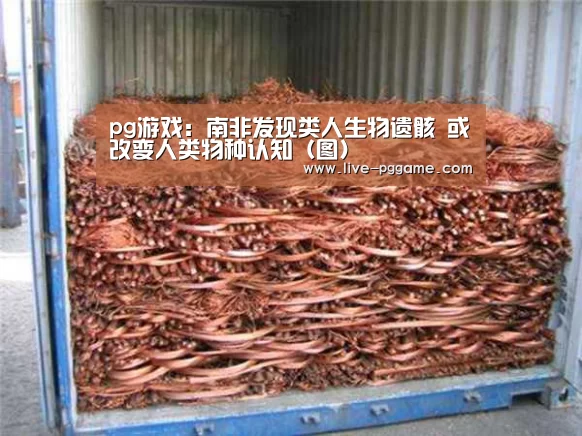 pg游戏:南非发现类人生物遗骸 或改变人类物种认知(图)(图2) pg电子模拟器